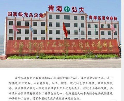 高原沃土育青葱 青海弘大“昇远弘大”大葱的品质之道